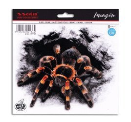Naklejka Tarantula 37