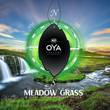 Zapach samochodowy w formie zawieszki K2 OYA MEADOW GRASS